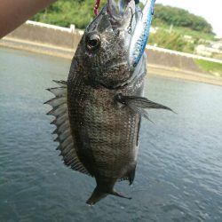 夕方のトップチニング