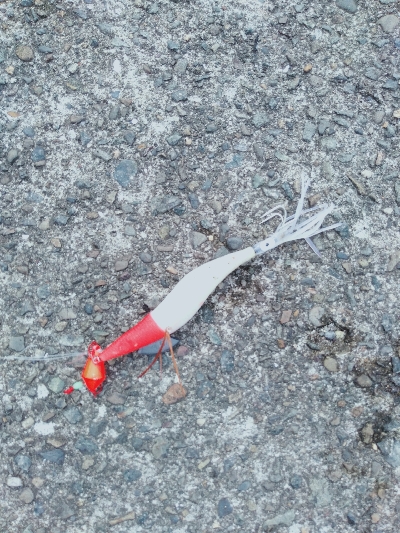 おくとぱっしんぐ