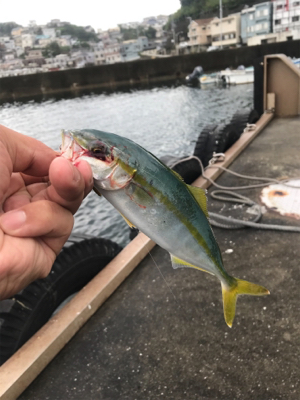 ライトワインドゲーム