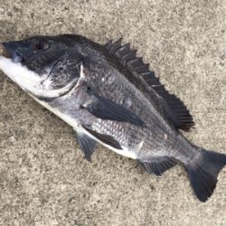 雨上がりの夕方