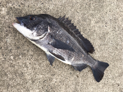 雨上がりの夕方
