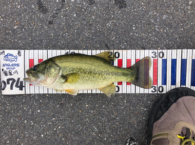 ゲーリーヤマモト最強