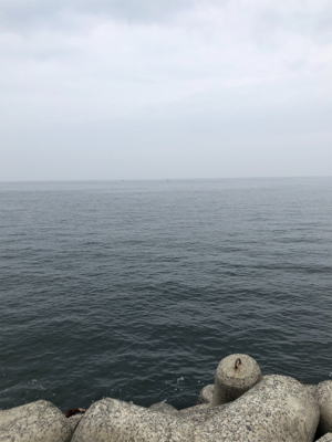 ツバス、ゲット！