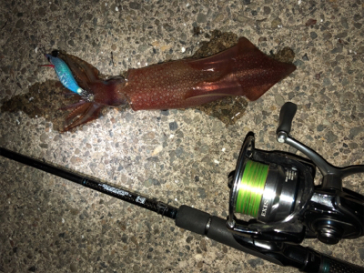 海が呼んでいる！