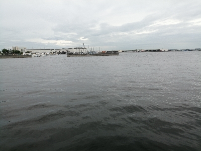 サビキにノマセ