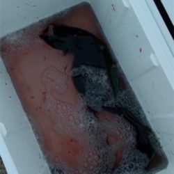 夕方はうなぎ釣り