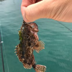 暇潰しのライトゲーム