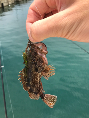 暇潰しのライトゲーム