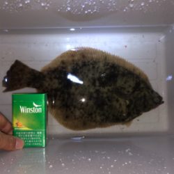 カレイ、ハモ、ソイ