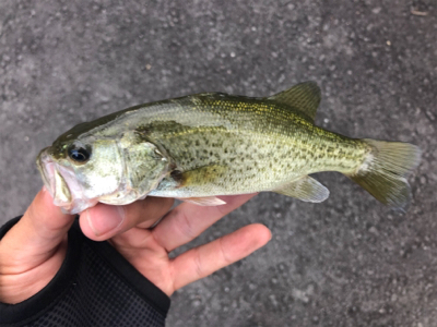 あんまりな土曜日