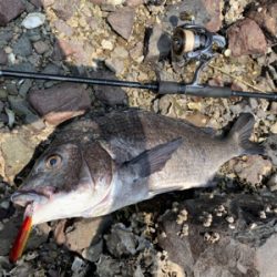 爆風トップゲーム