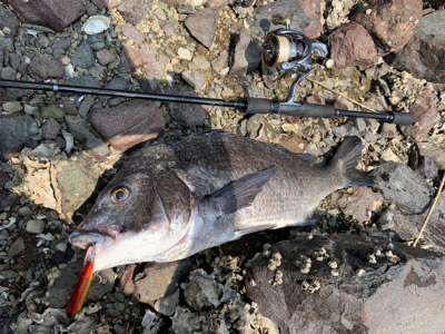 爆風トップゲーム