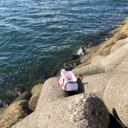 テトラでウキ釣り