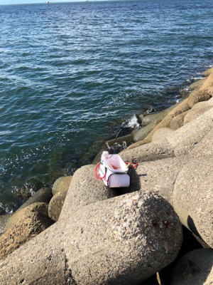 テトラでウキ釣り