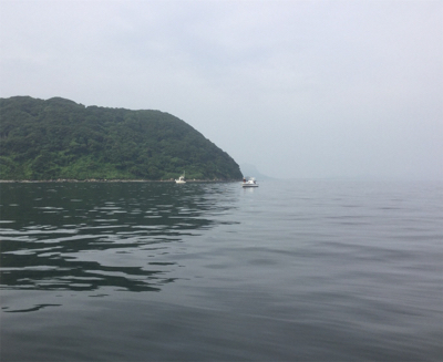 博多湾 タチウオ