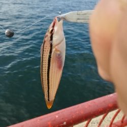 ショアジギング失敗