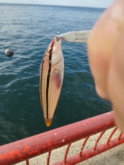 ショアジギング失敗