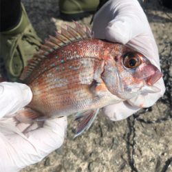 ノマセのつもりが…