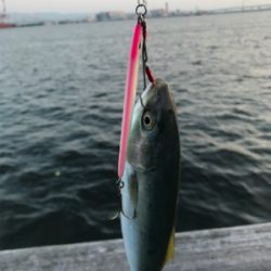 ちびっ子サイズ