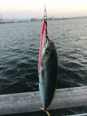 ちびっ子サイズ