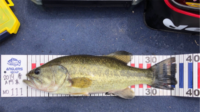 ボートでダウンショット