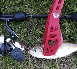 アジンガー1810〜1930