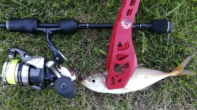 アジンガー1810〜1930