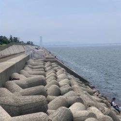 シーバスロッド