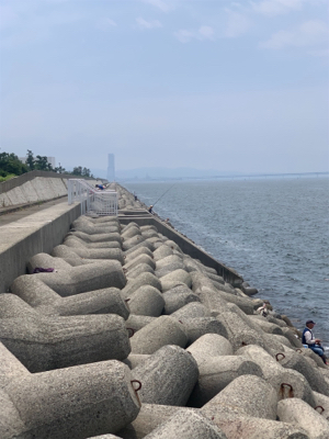 シーバスロッド