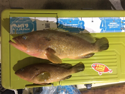 マイボートで丹後釣行。