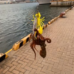 ビッグワン求めて