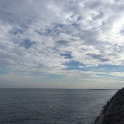 貝塚ショアジギ