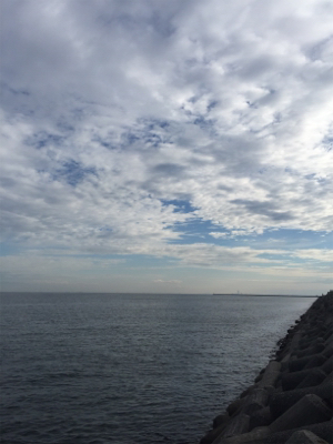 貝塚ショアジギ