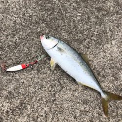 暗いうちから出撃するも…