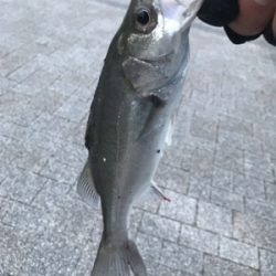 さて、サイズが…