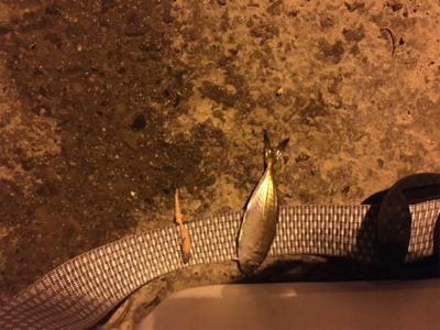 恐るべし…熟成アクア