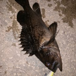 この風はいつになったら落ち着くの！？