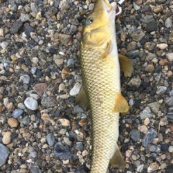 トップで出る出る