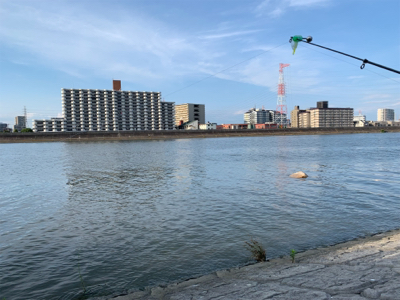 うなぎ、キビレ