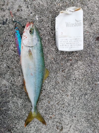 びしょびしょ(´・д・｀)