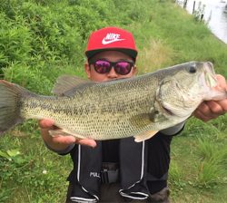 つりぴぃぽぉ釣果