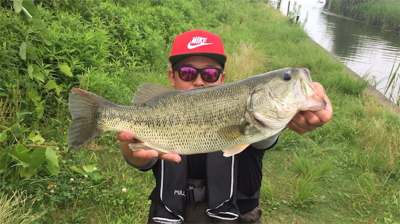 つりぴぃぽぉ釣果