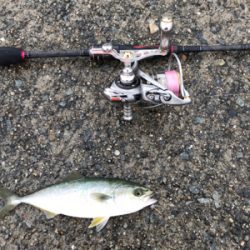 のんびり釣りしましょ〜