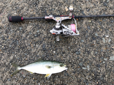 のんびり釣りしましょ〜