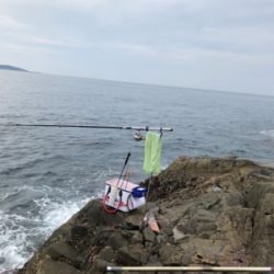 見老津で磯釣り