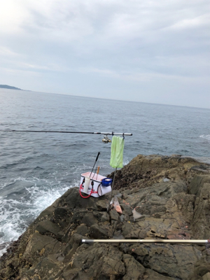 見老津で磯釣り