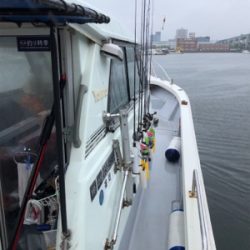 人生初デイイカメタル