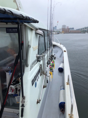 人生初デイイカメタル