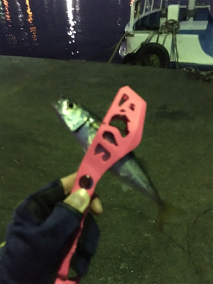 豆アジング超ムズ