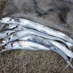 タチウオテンヤとジグサビキ